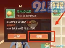 梦想桃源中宠物经验果该如何使用？