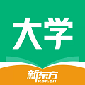 新东方考研四六级