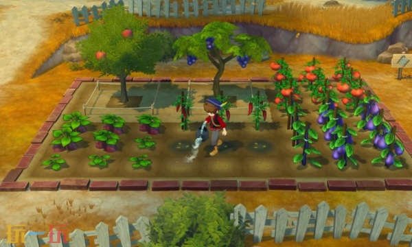 牧场物语来吧风之繁华集市豪华版多少钱 豪华版奖励说明