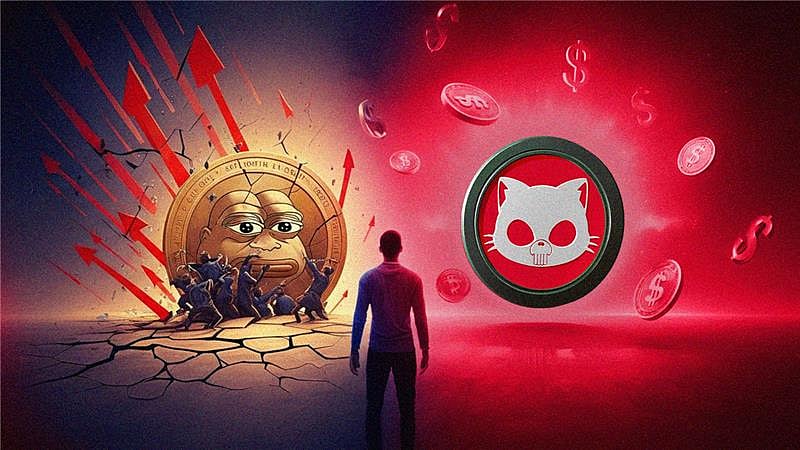 PEPE持币者恐慌抛售——与此同时Punisher Coin（PUN）持币者每日赚取100美元USDT奖励