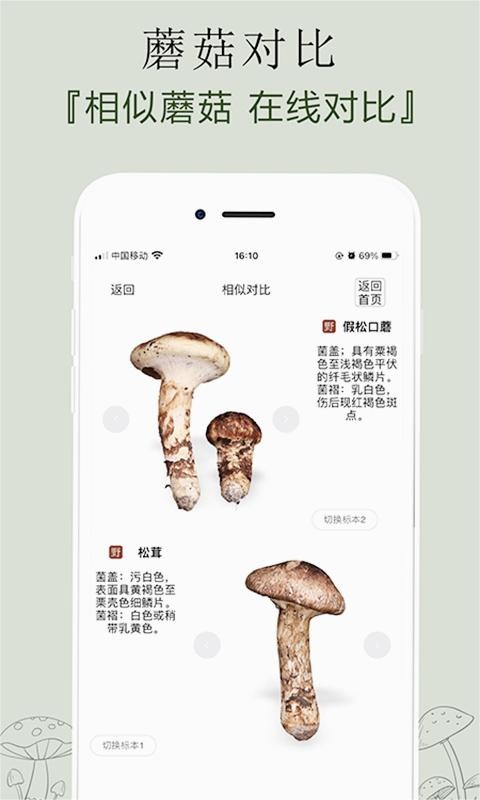 菌窝子 2