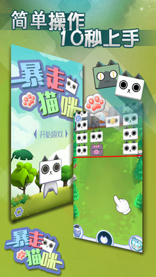 暴走猫咪 1