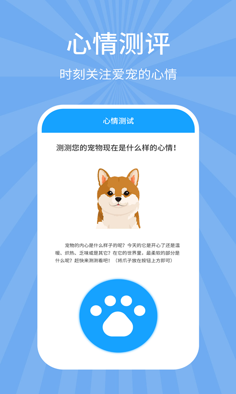 狗猫翻译器 2