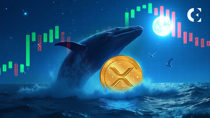 “红色九月”对XRP失效了吗？鲸鱼持续激进抄底
