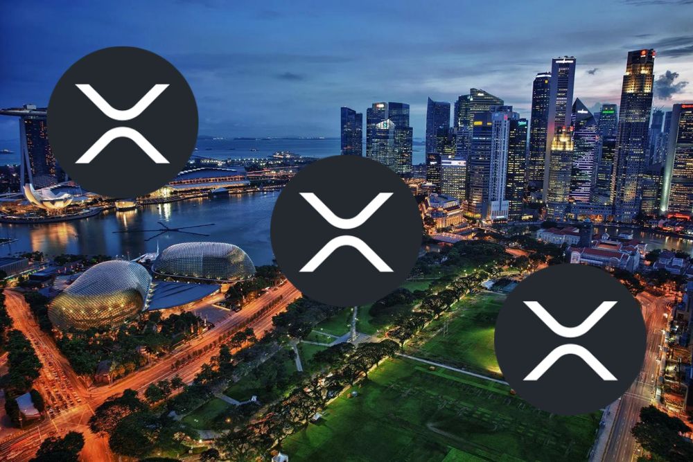 XRP进入全球企业百强
