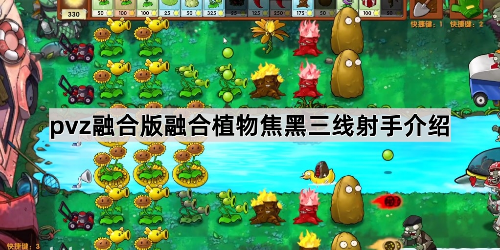 植物大战僵尸融合版融合植物焦黑三线射手介绍