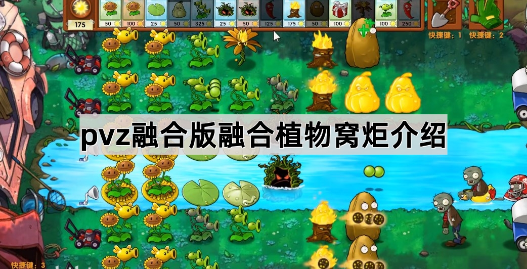 植物大战僵尸融合版融合植物窝炬介绍
