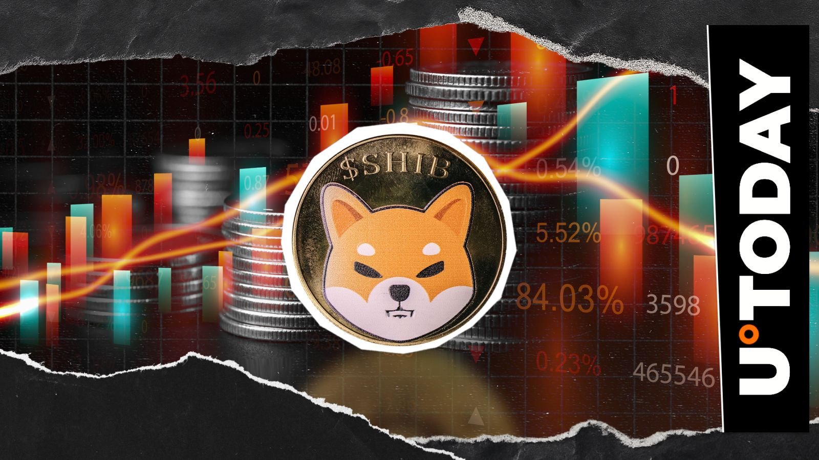 -87%的关键SHIB指标：发生了什么？