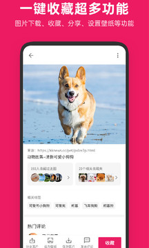 蜜咚图库 1
