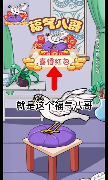 福气八哥 1