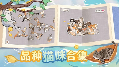 挤在一起的猫猫正版 1