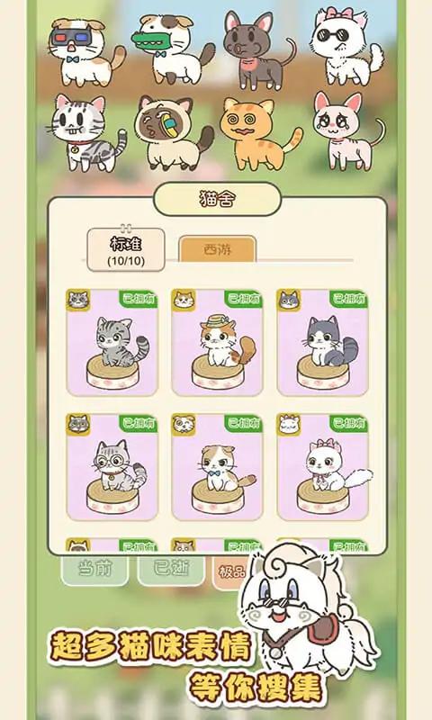 找下猫 1