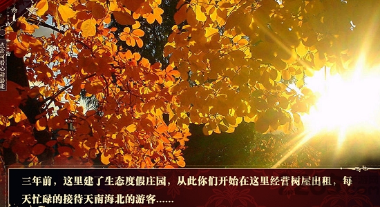 ex0橙光游戏之暴走千金 2