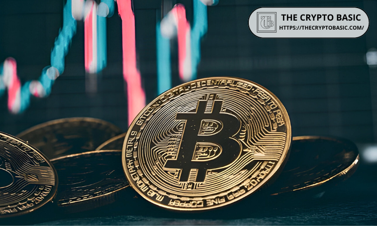 比特币回升至117,000美元以上：为何今日BTC暴涨？