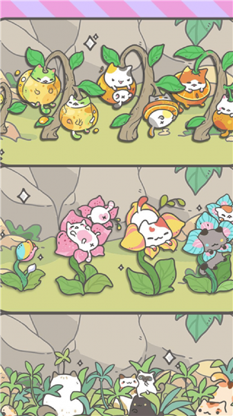 养猫达人 2