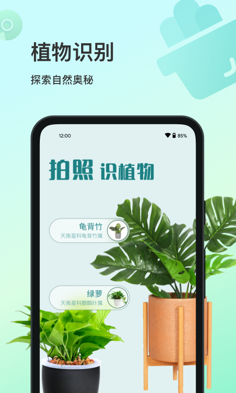 花卉识别 1