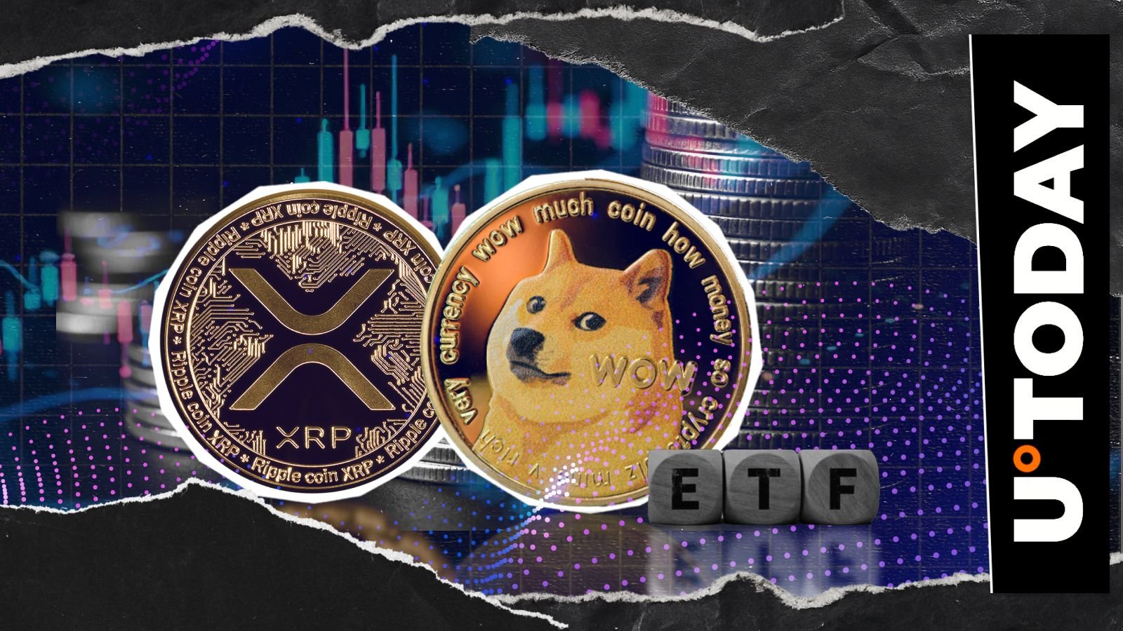 XRP和DOGE ETF推动美国投资基金突破5亿美元里程碑