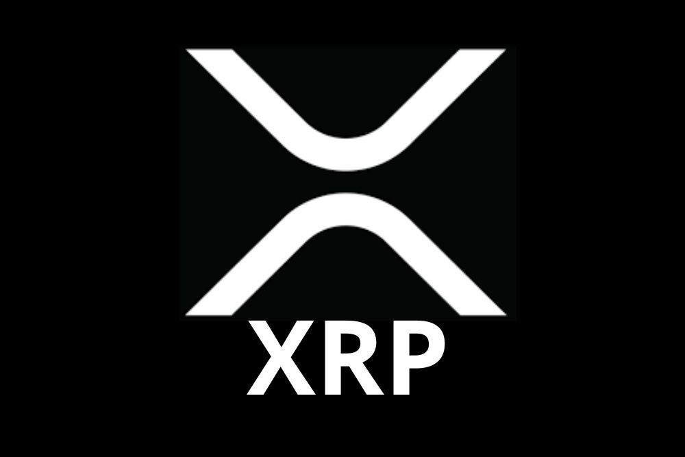 加密货币支持者：我坚信XRP将在2030年达到100美元