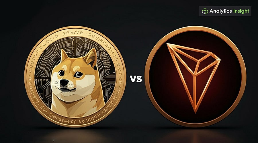 狗狗币 vs 波场：哪种加密货币能让你在2025年成为百万富翁？