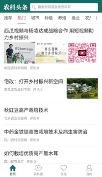农科头条 1