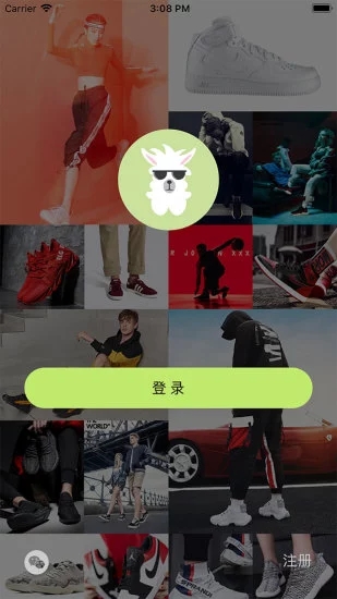 潮品羊驼 1