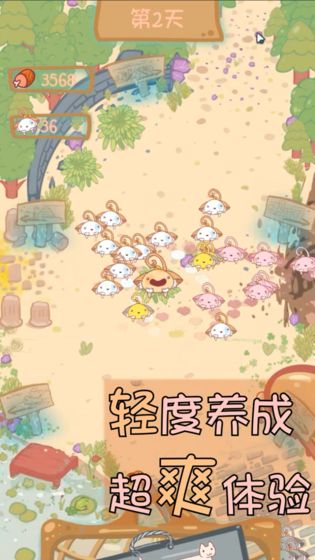 猫咪生存日记 2