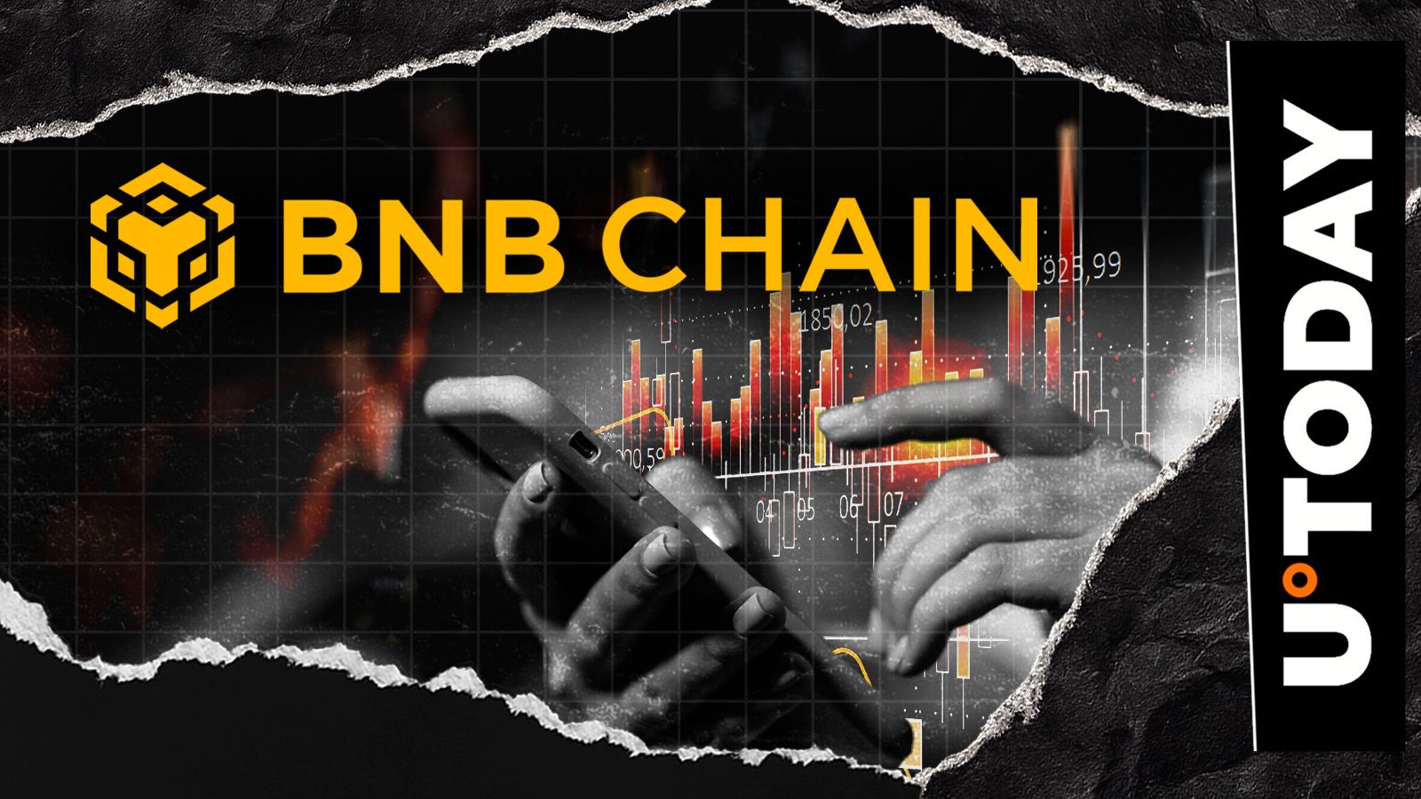 BNB链再现加密货币骗局：OracleBNB删除所有社交媒体账号
