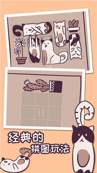 我的小猫贼好看 1