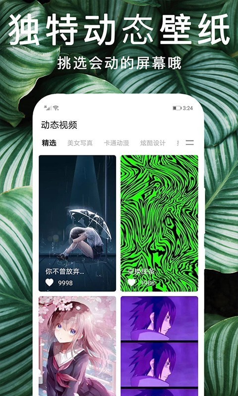 灵猫壁纸图库 1