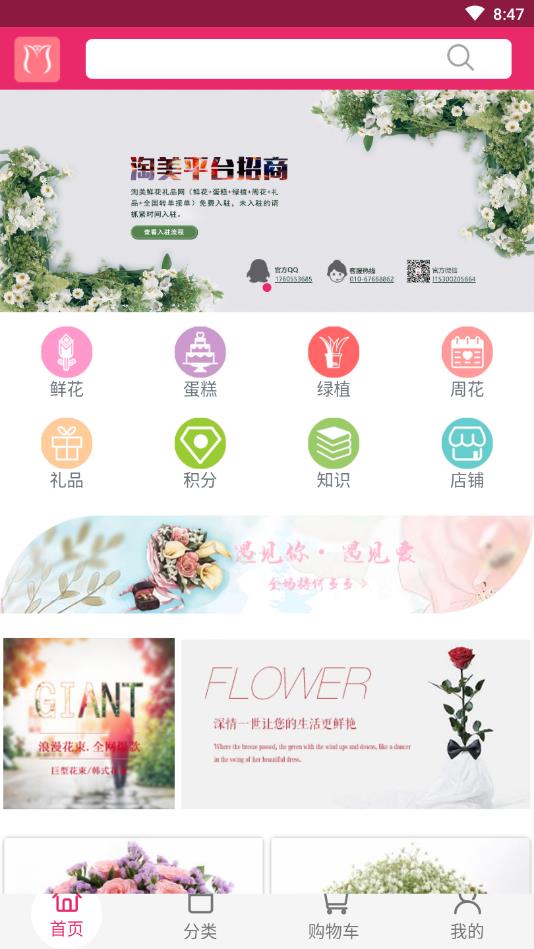 淘美鲜花 1