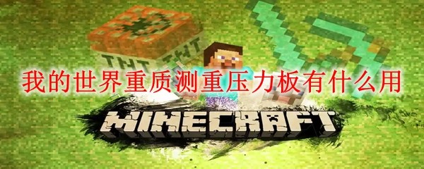 我的世界重质测重压力板有什么用