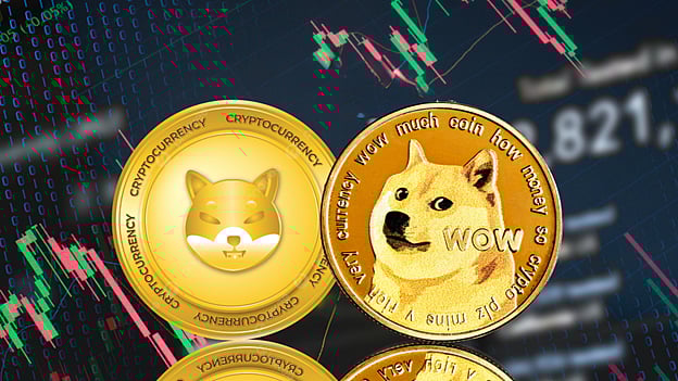 SHIB新闻：SHIB会迎来重大突破吗？SHIB价格在0.00001美元上方盘整