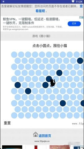圈小猫 1