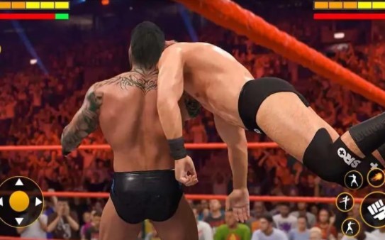 肌肉摔跤格斗 1