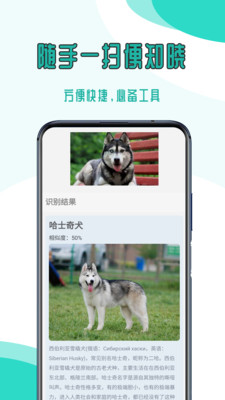 万能拍照识别免费版 2