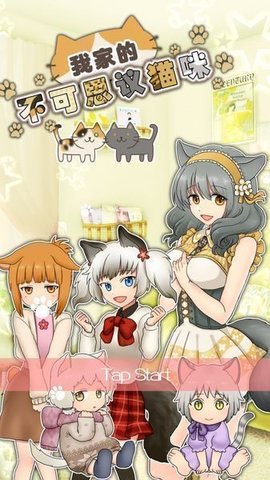 我家不可思议的猫咪 2