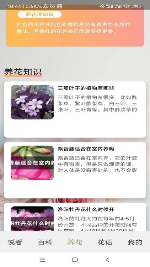 四季养花软件 1