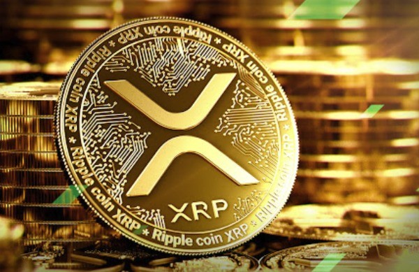 XRP币实时价格行情速览-2025年11月26日最新走势图