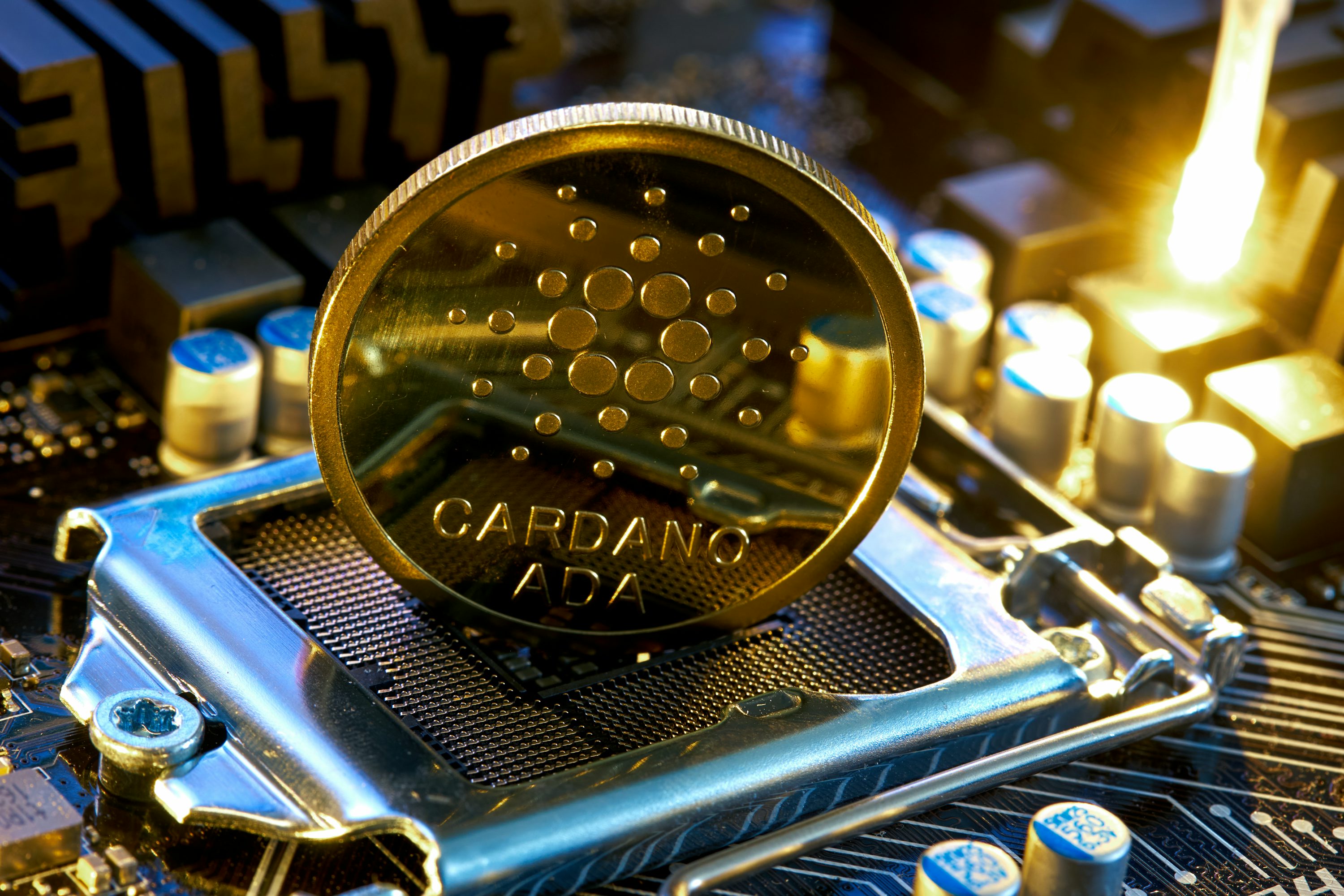 卡尔达诺最新财政动向对投资者的意义