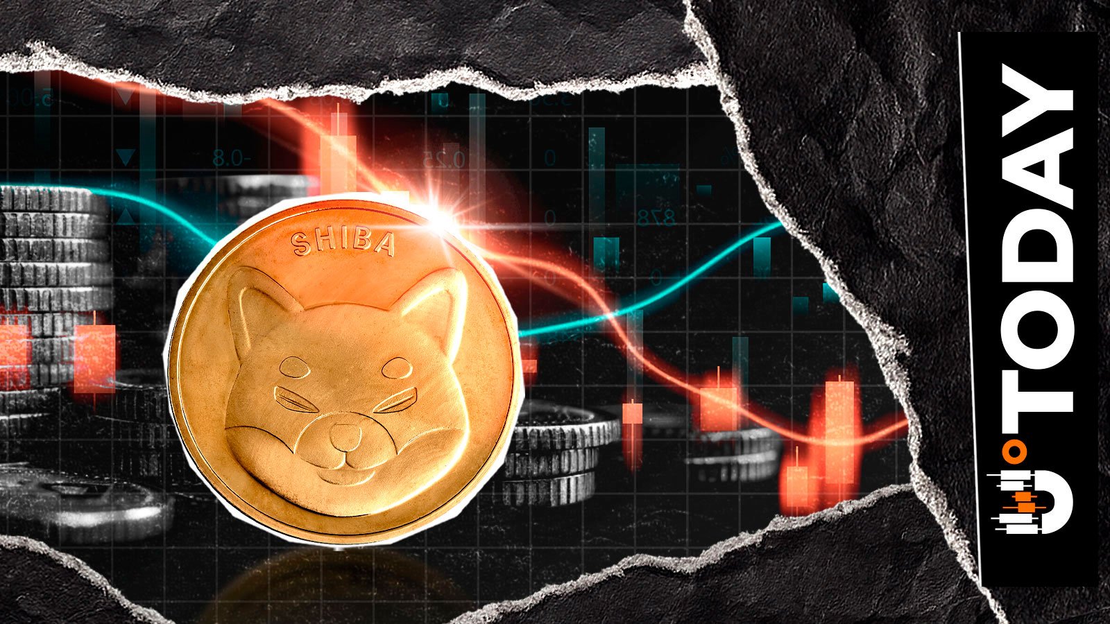 柴犬币（SHIB）关键链上指标全面归零：这意味着什么