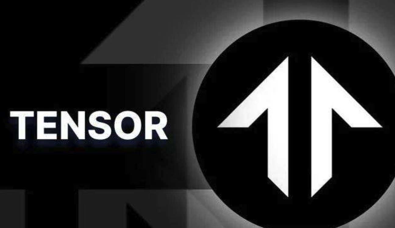 TNSR代币核心用途解析-经济模型如何赋能生态参与者