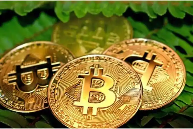 去哪查新币上线-怎样查看新币-新手必看指南