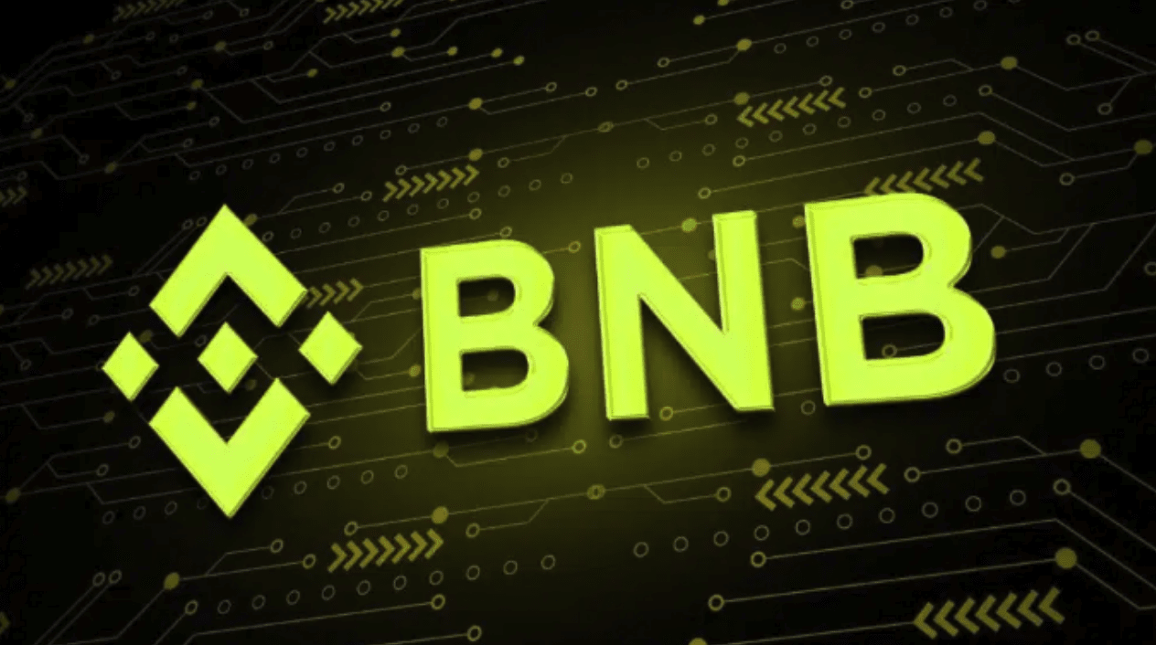 什么是币安币BNB?它在区块链生态中有哪些核心应用?