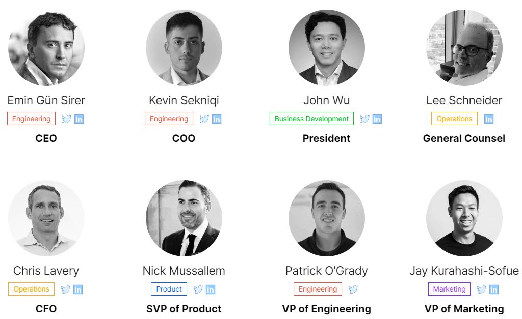 Avalanche核心团队