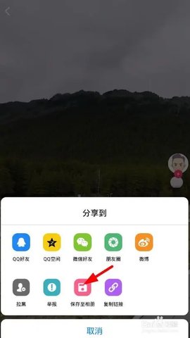 蘑菇视频 1.2 手机版