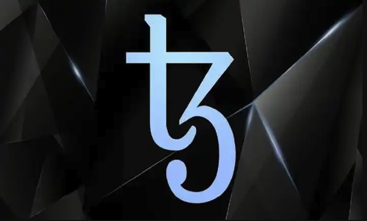 XTZ币投资风险全解析