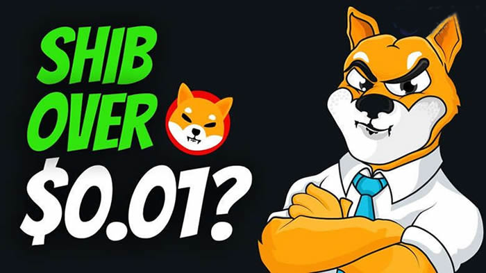 柴犬币发行量多少枚？SHIB币总量发行时间与价格全解析