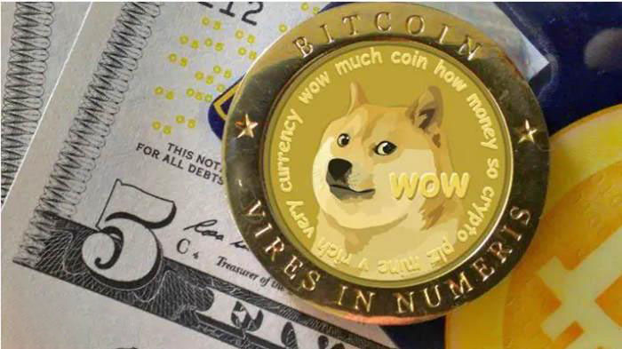 秋田犬币PK柴犬币：究竟哪个更值得入手？全面对比解析