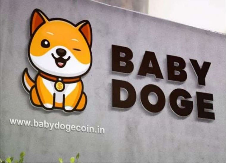 萌宠币BabyDoge全面解析：核心功能与未来前景