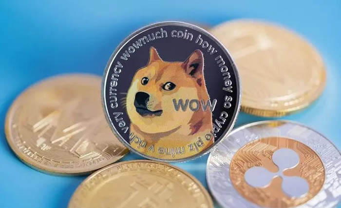 狗狗币如何买卖？狗狗币在哪买？